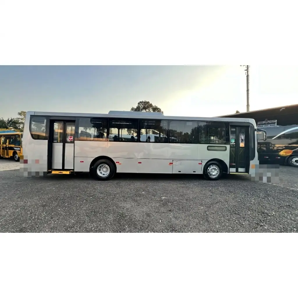 Caio Apache Vip IV, Mercedes-Benz OF-1519 (185cv), 2019 — foto 8