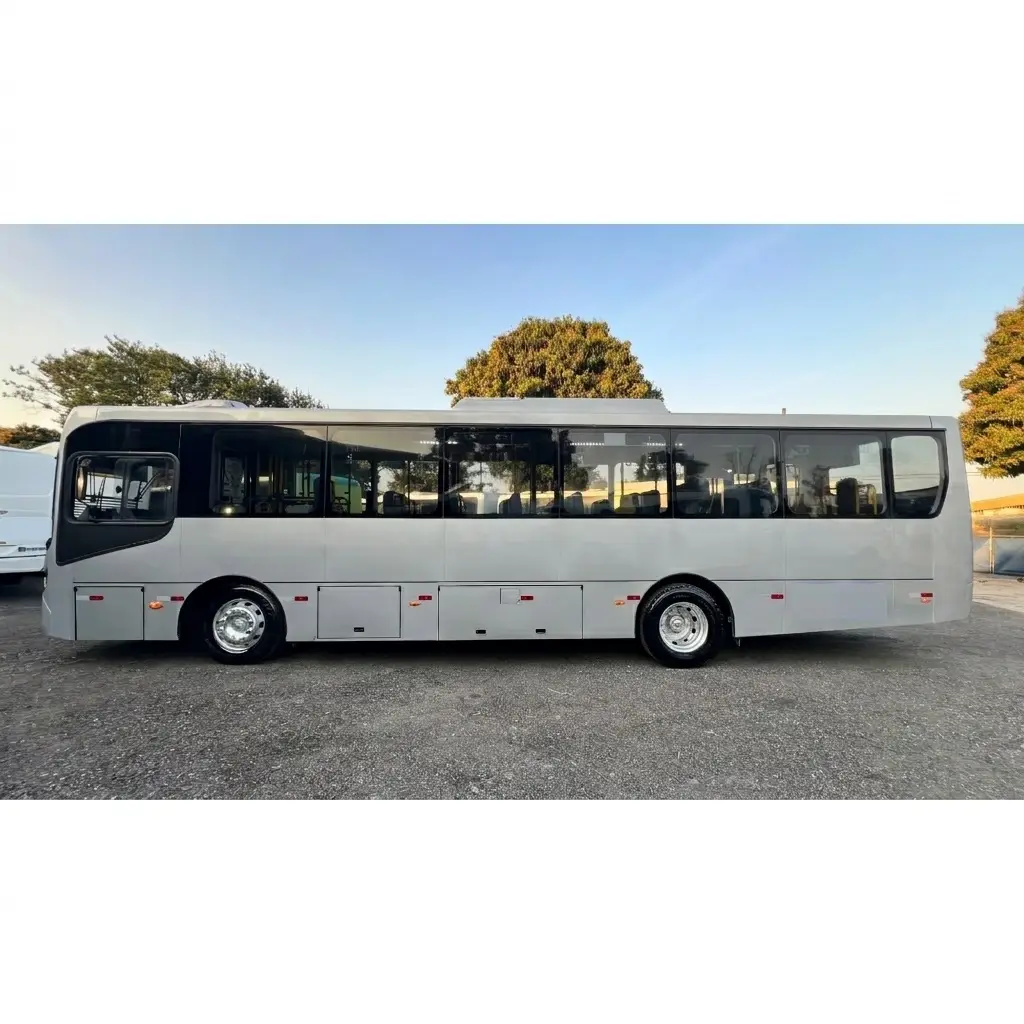 Caio Apache Vip IV, Mercedes-Benz OF-1519 (185cv), 2019 — foto 7