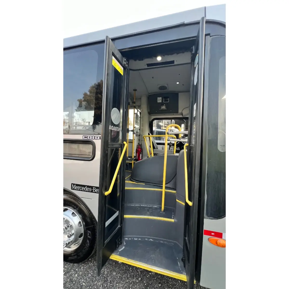 Caio Apache Vip IV, Mercedes-Benz OF-1519 (185cv), 2019 — foto 14