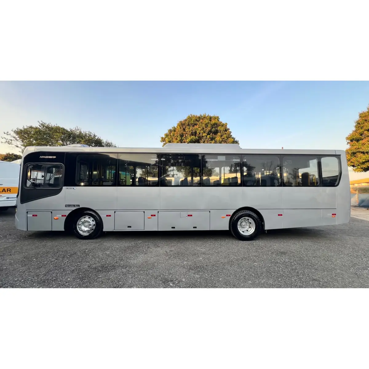 Caio Apache Vip IV, Mercedes-Benz OF-1519 (185cv), 2019 — foto 8