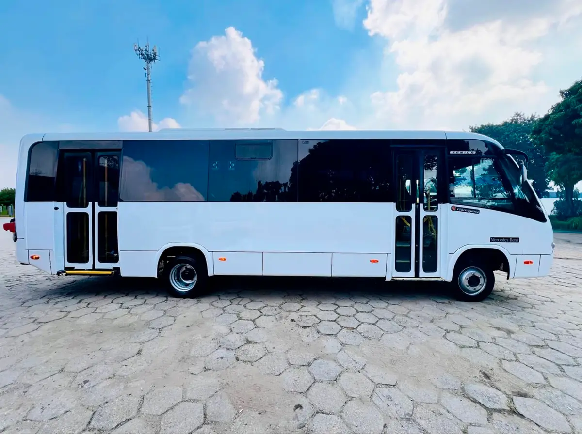 Marcopolo Senior, Mercedes-Benz LO 916, 2018 — foto 8