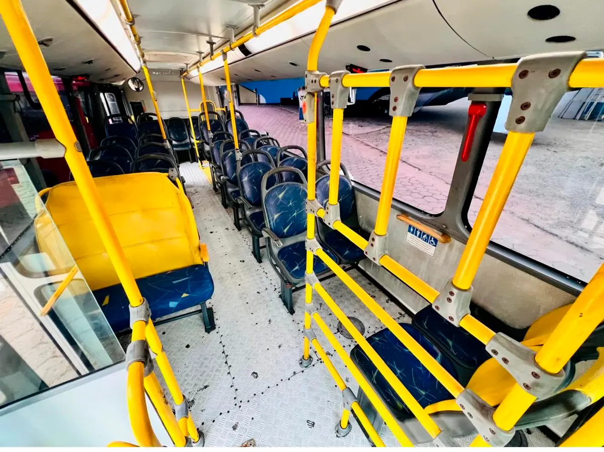 Marcopolo Senior, Mercedes-Benz LO 916, 2018 — foto 10