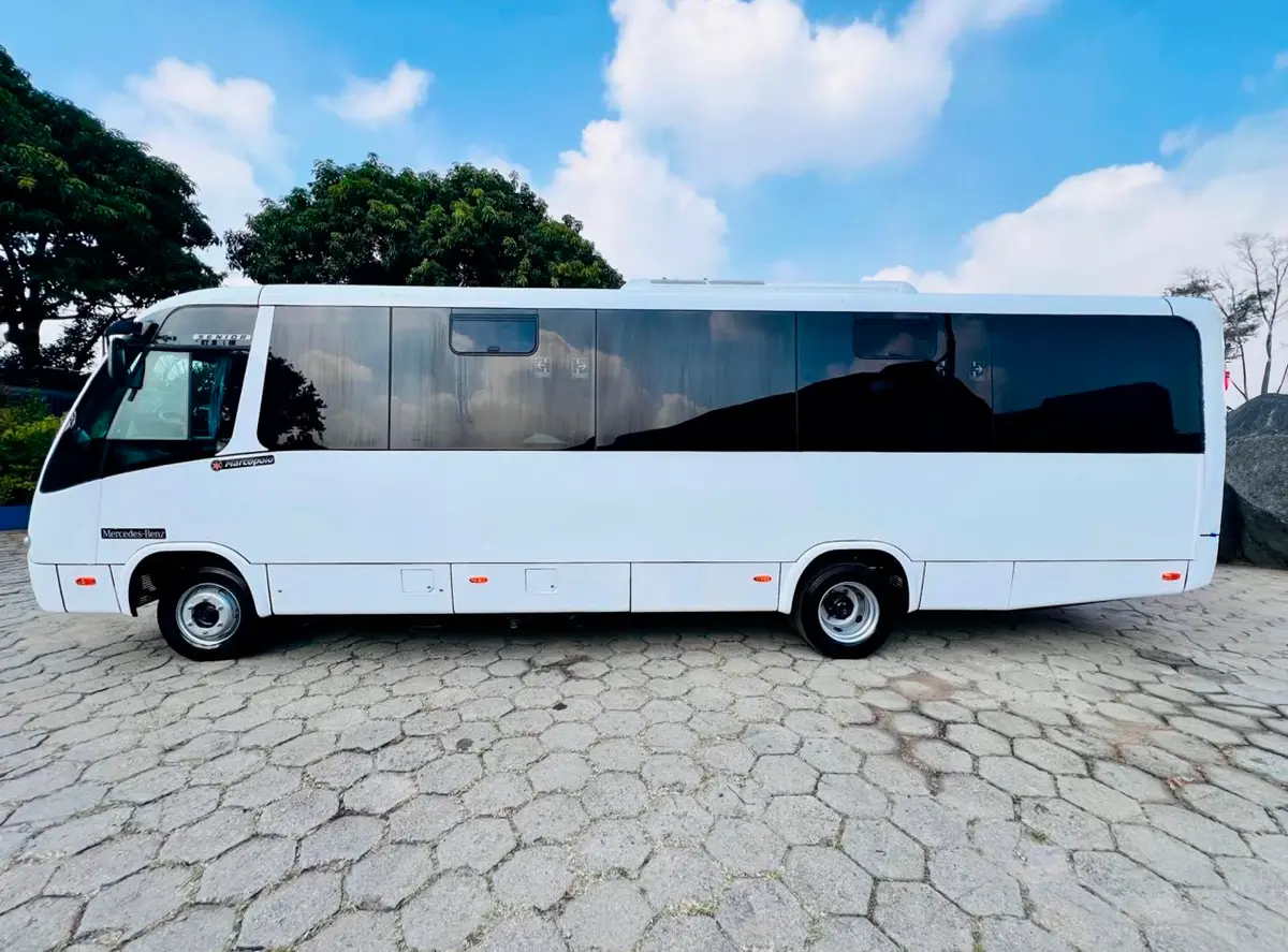 Marcopolo Senior, Mercedes-Benz LO 916, 2018 — foto 4