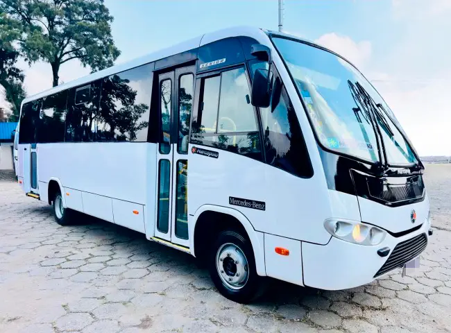 Marcopolo Senior, Mercedes-Benz LO 916, 2018