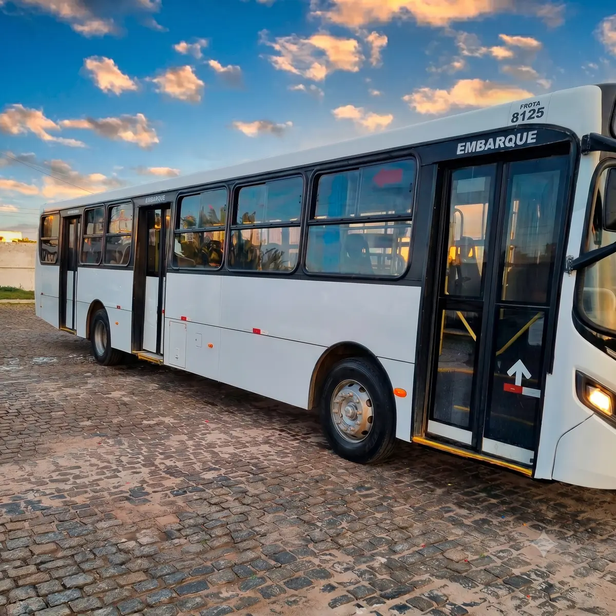 Caio Apache Vip IV, Volkswagen 17.230 OD, 2015