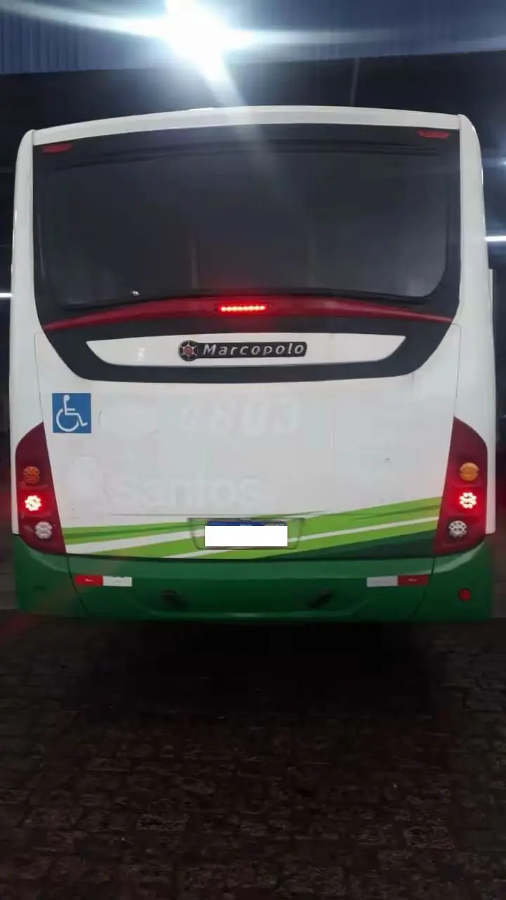 Marcopolo Torino G7, Mercedes-Benz OF-1721 (208cv), 2019 — foto 4