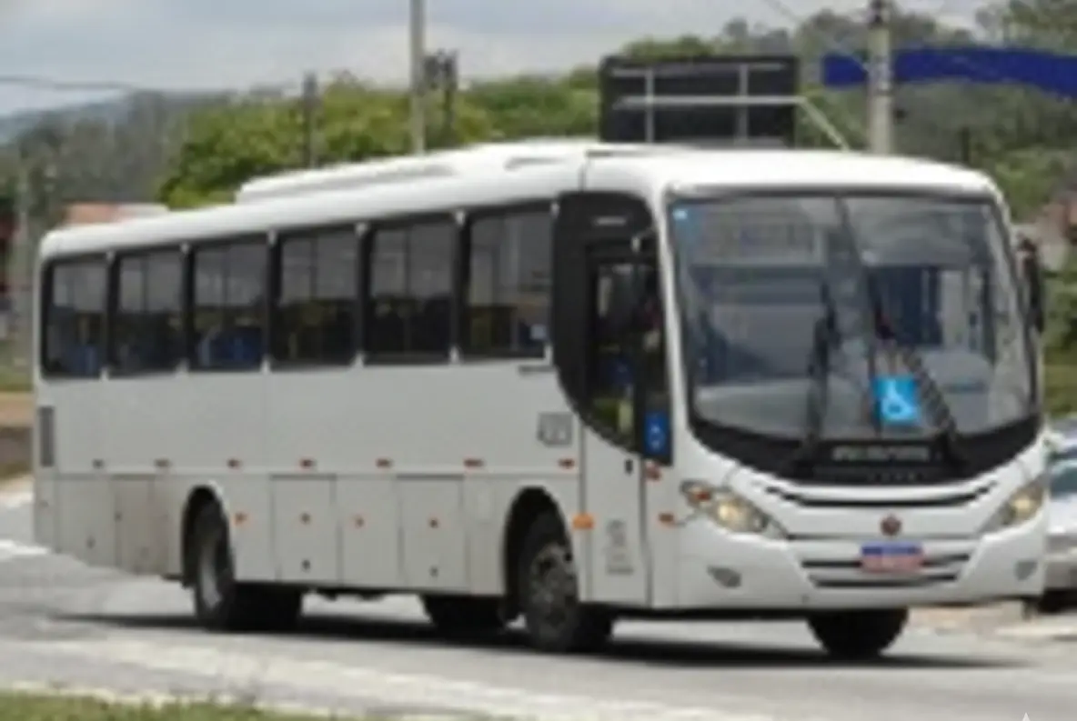 Mascarello Roma 330, Volkswagen 17.230 OD, 2012